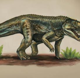 This is an artist's rendering of a <em>Vivaron haydeni</em> that lived more than 200 million years.