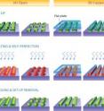 A technique invented in the lab of Princeton engineer Stephen Chou allows for the easy correction of defects and refinement of shapes in nanostructures. The "Open" method involves using a laser to briefly melt defects, which self correct before cooling. The "Capped" method prevents the technique from rounding off the structures. The "Guided" version causes the structures to grow toward a nearby plate, causing them to become not only smoother, but taller and thinner, which are all desirable traits for creating smaller, more powerful computer chips.