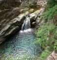 The waterfalls and streams of the Huangshan Hot Springs produce a steady racket predominantly in a lower frequency range than that used by the frogs.