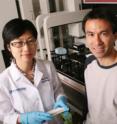 A research team led by Dr. Lawrence Lum (right) and including Dr. Wei Tang has discovered that a protein previously thought to promote colorectal cancer instead suppresses the growth of human cancer cells in culture.