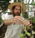 Pesach Lubinsky, a postdoctoral researcher in UC Riverside's department of botany and plant sciences, attends to a vanilla orchid.