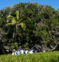 One of the huge erratic boulders found on the western shore of Tonga.