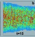 Results of MD simulations for the colony growth in a closed container. The growth is limited by four rigid walls. The size of the square domain is  Lx=Lz=136.6d where  d is the cell diameter. a-c: Initially the colony is prepared by placing randomly oriented cells of different length in the middle section. The panels show snapshots of the population taken at  t=5.0, 15.0, 30.0. The cells are colorized according to the value of the contact stress.