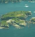 Aerial view of Tatoosh Island in the Pacific Ocean off the coast of Washington, where the study of ocean pH change over eight years was conducted. Scientists took more than 24,519 measurements.