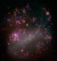 This panoramic optical image of the Large Magellanic Cloud (LMC) is from the Magellanic Cloud Emission Line Survey (MCELS). Emission lines of hydrogen are red, singly-ionized sulfur is green and doubly-ionized oxygen is blue. The image highlights regions of star formation in the LMC, including supernova remnants and giant structures carved out by multiple supernovas.