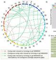 Methodology for comparative shotgun protein sequencing.