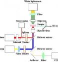 Femtosecond laser surgery experiment system.