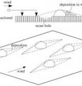 This line drawing illustrates how the wind scours a pit in front of the rocks and piles up sand behind rocks.