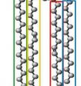 Researchers from Boston College and Washington University School of Medicine examined mitochondrial lipids in a diverse group of mouse brain tumors, specifically the complex lipid known as cardiolipin. Their new research, published in the Journal of Lipid Research, contends that cancer could arise from genomic mutations, environmental insults, or from epigenetic (gene-environmental) abnormalities, any of which could damage cardiolipin and ultimately produce irreversible injury to cellular respiration.