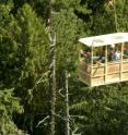 Researchers ride in the gondola of the 28-story Wind River Canopy Crane being used to study, among other things, tree mortality in an old growth forest in the Gifford Pinchot National Forest in southwest Washington state. The crane, operated by the University of Washington since 1997, is in a forest plot that was established for long-term study in 1948 by the Forest Service. Instruments at the crane site have been used to directly measure carbon flows between the forest and atmosphere for 10 years, the longest continuous such record in the Pacific Northwest.