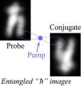 Closeup of two "quantum images" created with the help of a "pump" laser beam. The two images are "entangled," so that if there is a change in the intensity in one region ("pixel") of the image, there would be an identical change in the intensity in the corresponding pixel in the second image. In this experiment, one of the images is delayed on its arrival to a detector, so that the correlations between the two images can be out of sync by up to 27 nanoseconds, something that is potentially useful for managing data to a future "quantum computer."