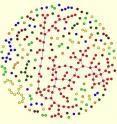 The points in red represent the formation of a super-connected group or "giant component" within this network.