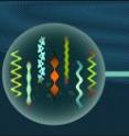 Biosensor principle: The biological receptor element recognises the analyte in a complex sample. The receptor is in intimate contact to the transducer to transform the recognition signal into an electrical signal. The connected data processing unit directly generates the measuring value.