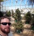 University of Arizona ecologist Henry Adams is pictured with pinyon pine trees inside the 3.4-acre Biosphere 2 dome, where climate was controlled to test the heat effect on drought-stressed trees.
"Since much of my work was done in 17 hour shifts, I look unhappy and tired in a lot of photos from Biosphere 2," Adams said.