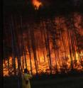 This is a forest fire in Siberia.