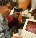 Drs. Yehia Daaka (left) and Vijayabaskar Lakshmikanthan are from the Medical College of Georgia.
