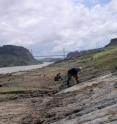 Geologists and paleontologists are in a hurry to map, describe and recover fossils from the Panama Canal widening earthworks as further excavation, tropical rains and overgrowth by vegetation will soon destroy these sites.