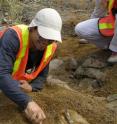 Aldo Rincon discovered the remains of the browsing horse as an intern at the Smithsonian Tropical Research Institute in Panama.