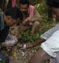 A team of researchers collecting tiger scat in India for DNA analysis -- a powerful new tool in estimating tiger populations.