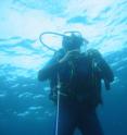 This is Bärbel Hönisch diving for plankton in an early phase of the study.