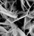 This is an image of electrochemically-deposited crystals from a scanning electron microscope.