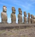 These Easter Island monoliths have endured for centuries. New research suggests that a compound first discovered in soil of the remote South Pacific island might help humans stand the test of time, too.