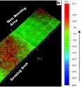 This is topography of inkjet-sprayed PVAm, and AChE (50 U/mL) and DTNB doped sodium silicate (SS) thin films on paper.