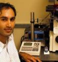 Raghu Parthasarathy is a biophysicist at the University of Oregon.