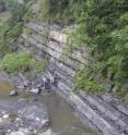 Researchers study exposures of the Doushanto Formation along a
creek in the Yangtze Gorges area, South China.