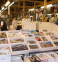 Billingsgate Market, the largest U.K. fish market, is a wholesale samples seafood market.
