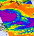 This infrared satellite image shows Typhoon Morakot's cold clouds (depicted in purple and blue) stretching over 1,000 miles in diameter on Aug. 6 in the East China Sea.