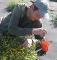 Jonathan Levine conducting his biodiversity research.