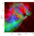 This false-color temperature map shows solar active region AR10923, observed close to center of the sun's disk. Blue regions indicate plasma near 10 million degrees K.