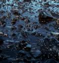 When the Exxon Valdez spilled its load on a reef in March 1989, about 40,000 tons of crude oil escaped and polluted the Prince William Sound. It is estimated that of seabirds alone, more than a quarter of a million were killed in the spill. Two thousand kilometers of coast were polluted with oil.