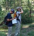 Here, Morgan Tingley (right) and Pascal Title (left) are conducting a point count in the field for a resurvey of wildlife in the Sierra Nevada.