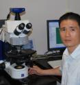 Hong-Guo Yu is an assistant professor in the Florida State University Department of Biological Science.