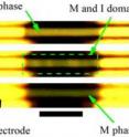 These optical images of a multiple-domain vanadium oxide microwire taken at various temperatures show pure insulating (top) and pure metallic (bottom) phases and co-existing metallic/insulating phases (middle) as a result of strain engineering.