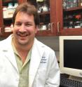 Dr. Eric Blough and his colleagues at Marshall University have shown that acetaminophen ingestion, at least in animals, can be safely used for the treatment of age-related muscle loss.