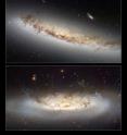 This composite shows the two ram pressure stripping galaxies NGC 4522 and NGC 4402.

Hubble's Advanced Camera for Surveys allows astronomers to study an interesting and important phenomenon called ram pressure stripping that is so powerful, it is capable of mangling galaxies and even halting their star formation.

NGC 4522 is a spectacular example of a spiral galaxy that is currently being stripped of its gas content. The galaxy is part of the Virgo galaxy cluster and its rapid motion within the cluster results in strong winds across the galaxy as the gas within is left behind. Scientists estimate that the galaxy is moving at more than 10 million kilometres per hour. A number of newly formed star clusters that developed in the stripped gas can be seen in the Hubble image. The stripped spiral galaxy is located some 60 million light-years away from Earth.

The second image shows NGC 4402 and highlights some telltale signs of ram pressure stripping such as the curved, or convex, appearance of the disc of gas and dust, a result of the forces exerted by the heated gas. Light being emitted by the disc backlights the swirling dust that is being swept out by the gas. Studying ram pressure stripping helps astronomers better understand the mechanisms that drive the evolution of galaxies, and how the rate of star formation is suppressed in very dense regions of the Universe like clusters.
