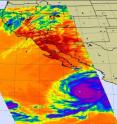 The NASA Aqua satellite's Atmospheric Infrared Sounder instrument captured Hurricane Rick's high thunderstorm cloud temperatures (in purple). The cloud tops were colder than minus 63 Fahrenheit. Rick's eye is clearly visible in this image from Oct. 18 at 4:59 p.m. EDT.