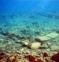 This image shows large square building foundations at Pavlopetri.