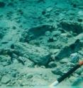 This is a rectangular cist grave made by four stones standing on edge.  The markings on the range pole are in 25cm bands.