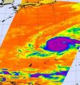 NASA's Aqua satellite captured cold thunderstorm cloud tops of Mirinae in this infrared image Oct. 28 at 12:35 a.m. local Asia/Manila Time (Oct. 27 at 12:35 p.m. EDT). The system now has the developed signature shape of a mature tropical cyclone.