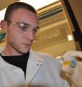 UC Riverside's Chris Reinhard studies a sample of pulverized black shale in solution.