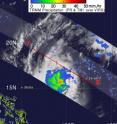 NASA and JAXA's TRMM satellite captured the rainfall in Typhoon Mirinae on Oct. 29 at 1018 UTC. Mirinae had moderate rainfall (yellow-green) around its center. Rainfall was between .78 to 1.57 inches per hour.