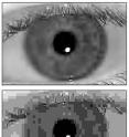 These compressed iris images from the IREX I test illustrate why the JPEG format did not meet the test criteria. The JPEG 2000 format (top) retains its quality after compression for storage and transmission, while the JPEG format  (bottom) becomes pixilated when reduced the same amount.