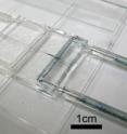 This photo shows a microinjection device loaded into a fixture which immobilizes the left substrate and ensures planar and linear motion of the movable substrate.