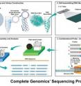 Complete Genomics' sequencing process includes four distinct steps: 1) Sample preparation and library construction 2) Self-assembling DNA nanoarrays 3) Imaging, assembly and analysis 4) Combinatorial probe -- anchor ligation (cPAL).