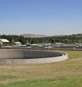 Sewage treatment plants serve as the main gateway for nanoparticles to enter the environment.