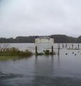 This is a photo of the flooding during high tide today, Nov. 12, at the Parkers Creek boat ramp. The photo looks out over the Parkers Creek Marsh on the sea side of Accomack County, Va.